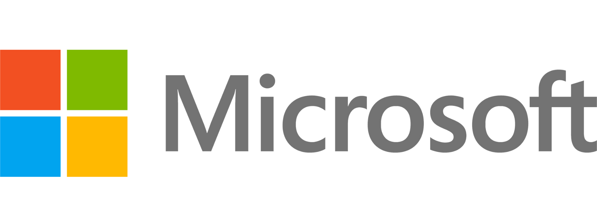 Microsoft Partner