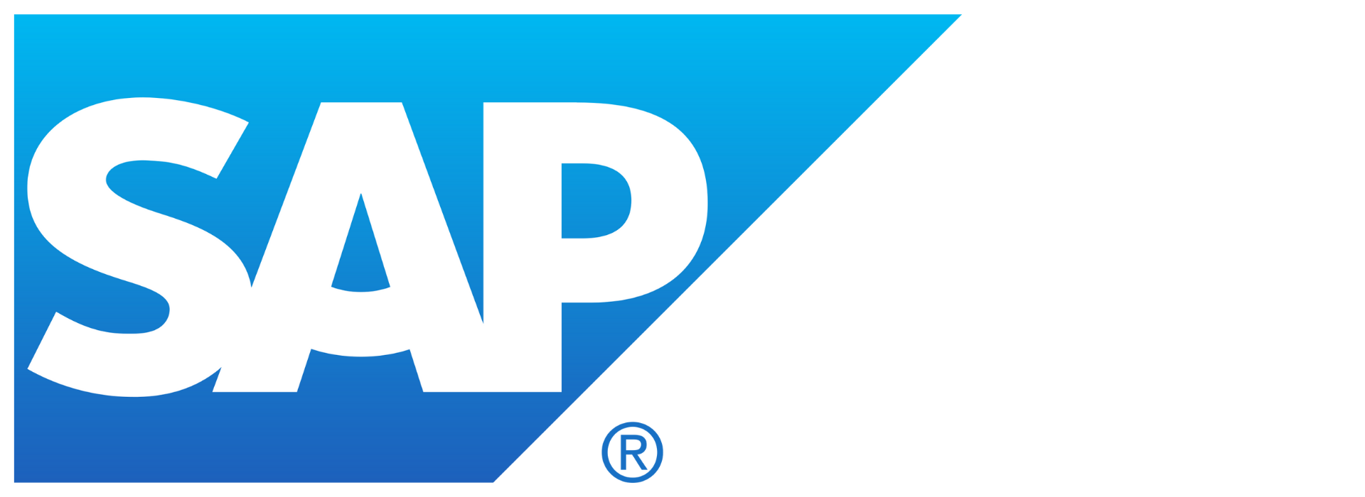 SAP Partner