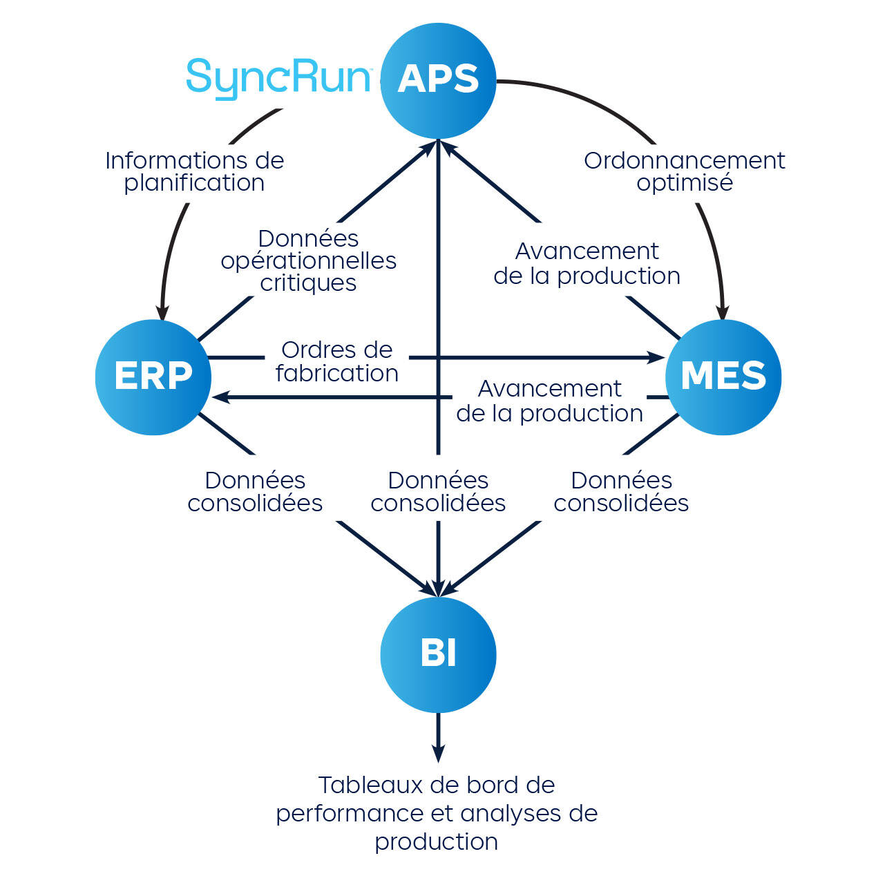 Syncrun APS Ecosystème Schéma